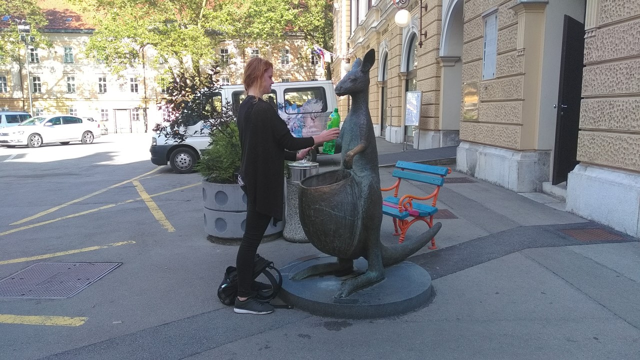 Kangaroo Slovenia