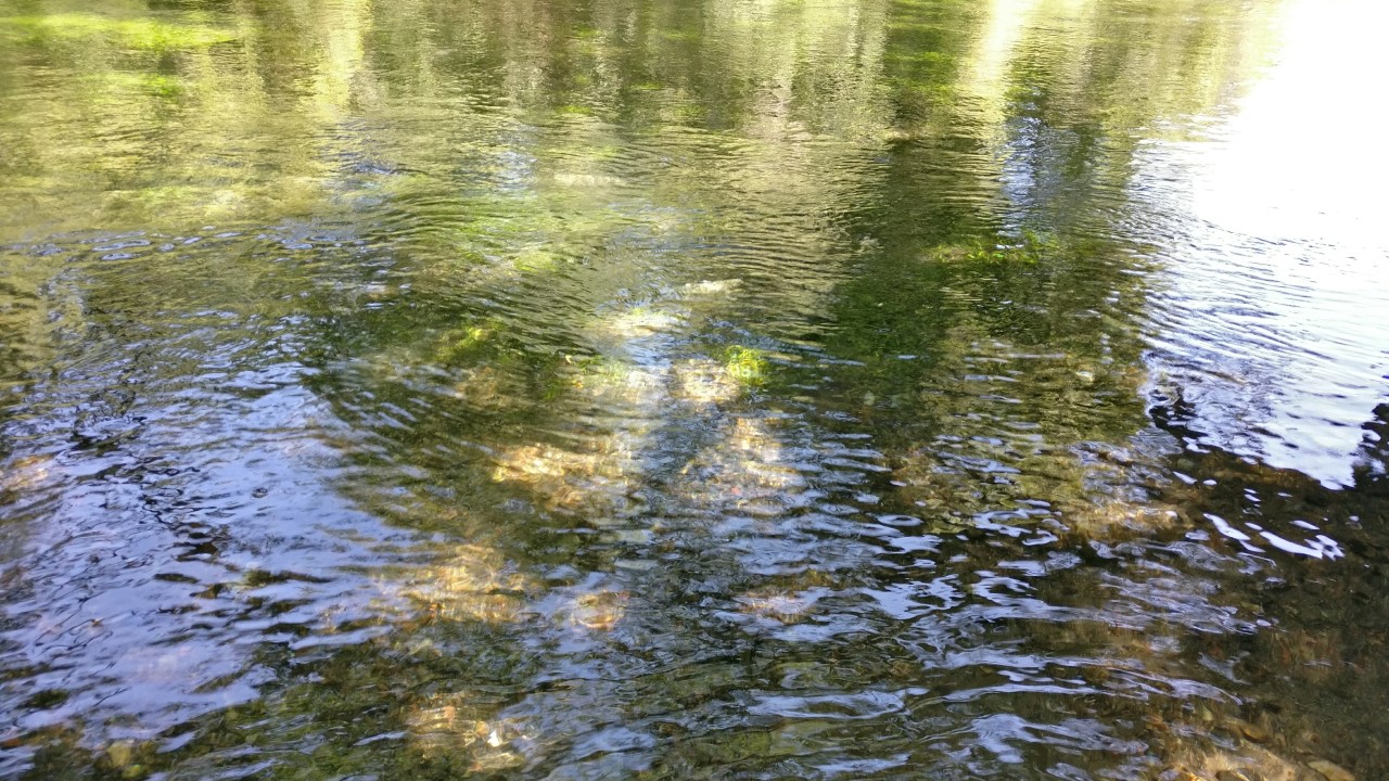 Crystal Clear
