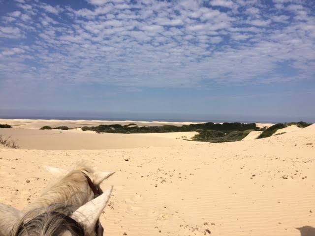 horse riding