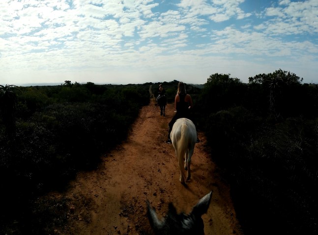 horse riding